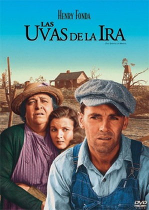 contenido34844