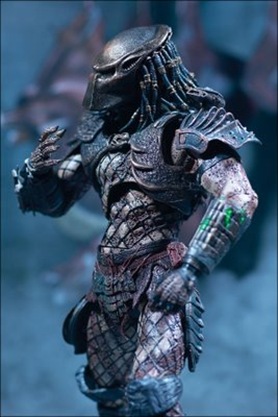 mm6_predator_photo_01_dp