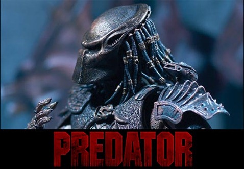 predator_photo