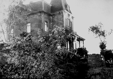 psicosis-3