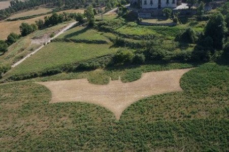 logo-de-batman-en-el-campo-480x319